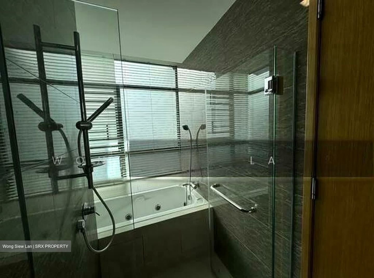 Rochelle At Newton (D11), Condominium #586270341